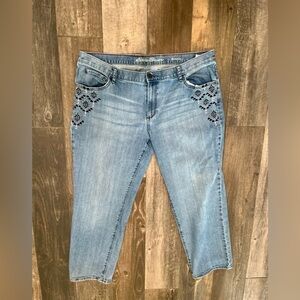 Eddie Bauer Boyfriend Slim Fit Embroidered Specially Dyed www Jeans Sz 16